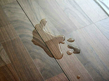 The Establishment of company